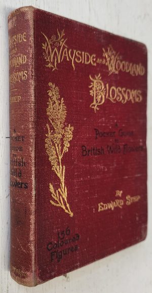Wayside and Woodland Blossoms