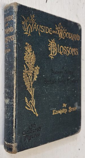 Wayside and Woodland Blossoms