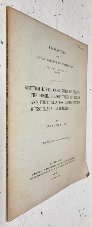 Scottish Lower Carboniferous Plants: The fossil hollow trees of Arran and their branches (Lepidophloios Wunschianus Carruthers)