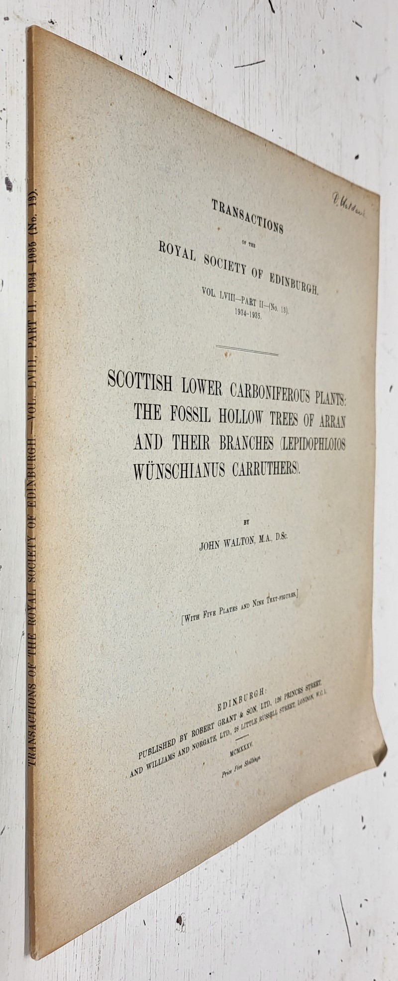 Scottish Lower Carboniferous Plants: The fossil hollow trees of Arran and their branches (Lepidophloios Wunschianus Carruthers)
