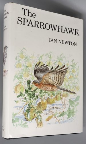 The Sparrowhawk