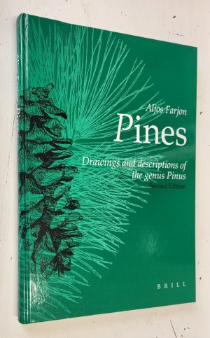 Pines: Drawings and descriptions of the genus Pinus