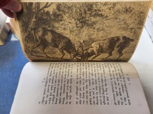Remarks on Forest Scenery; and other Woodland Views - Image 4