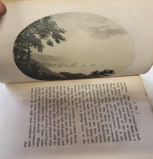 Remarks on Forest Scenery; and other Woodland Views - Image 5