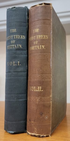 The Forest Trees of Britain, 2 vol. set