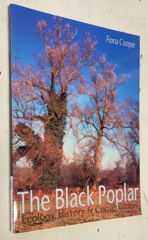 The Black Poplar