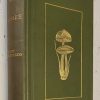 British Fungi and Lichens