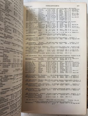 Loudon's Hortus Britannicus: A Catalogue of all the plants - Image 3