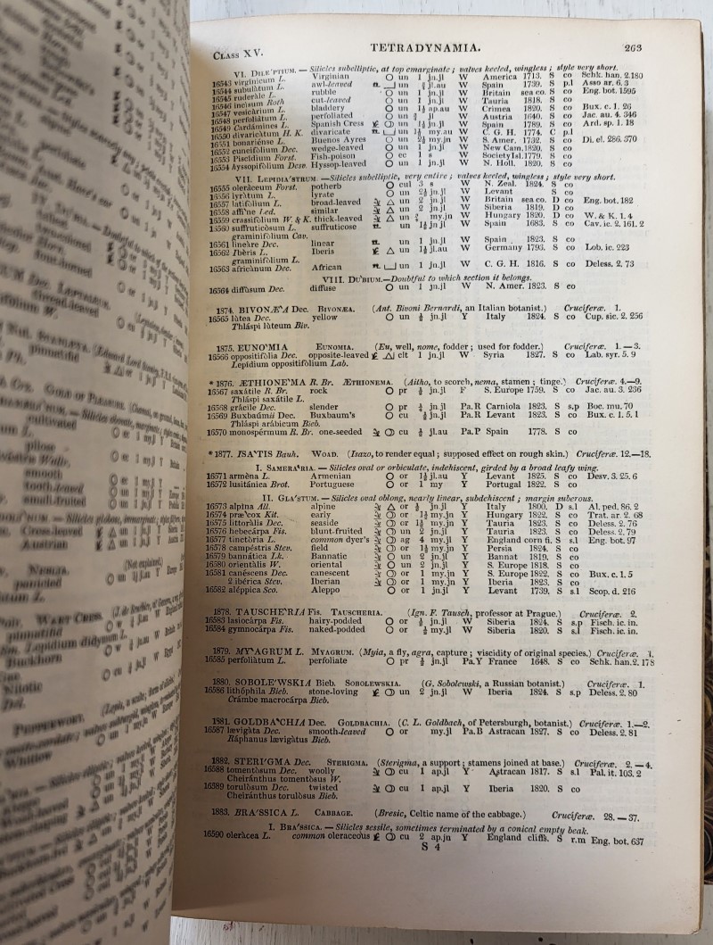 Loudon's Hortus Britannicus: A Catalogue of all the plants - Image 3