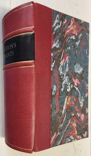 Loudon's Encyclopaedia of Plants