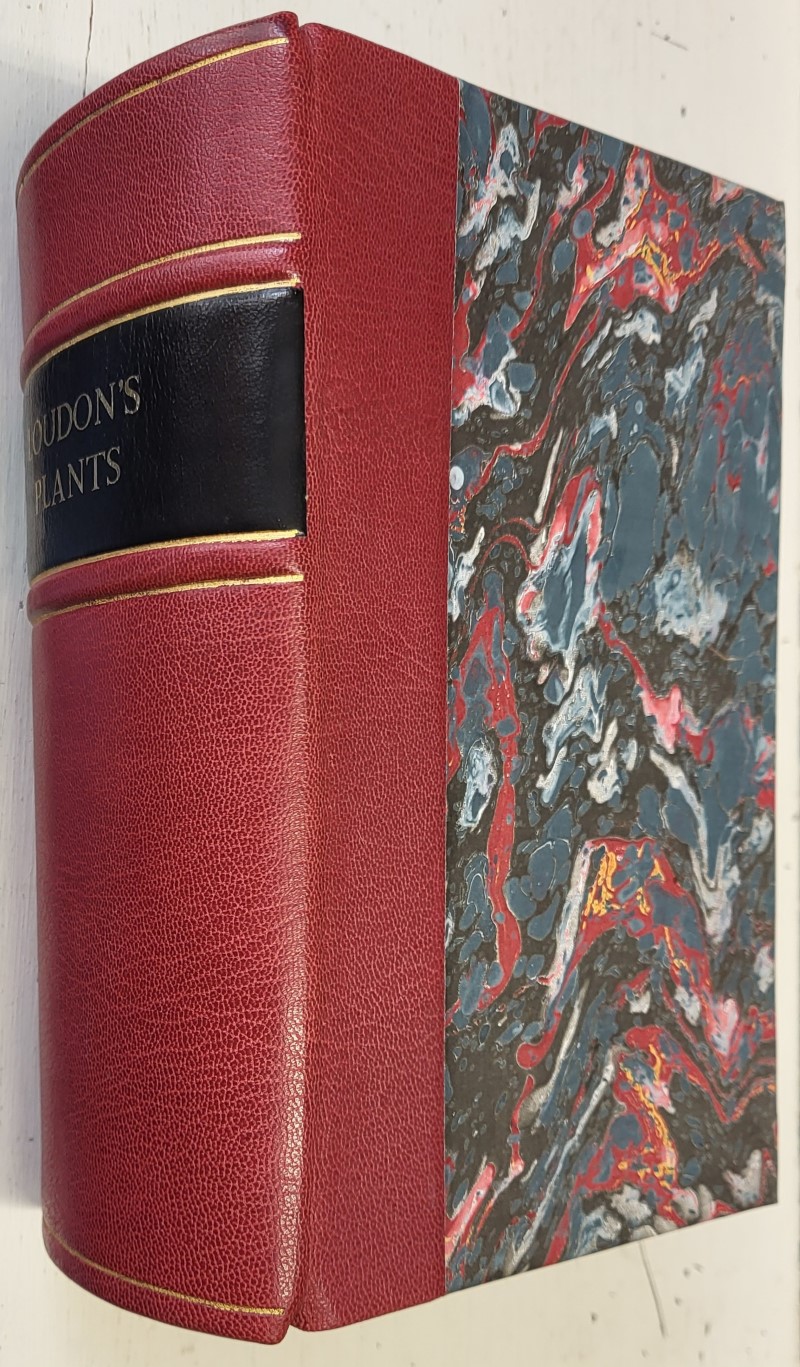 Loudon's Encyclopaedia of Plants