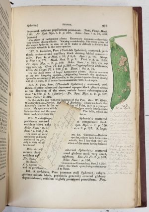 Fungi [Vol. V, Part II of Smith's English Flora  & Vol. II of Dr. Hooker's British Flora]