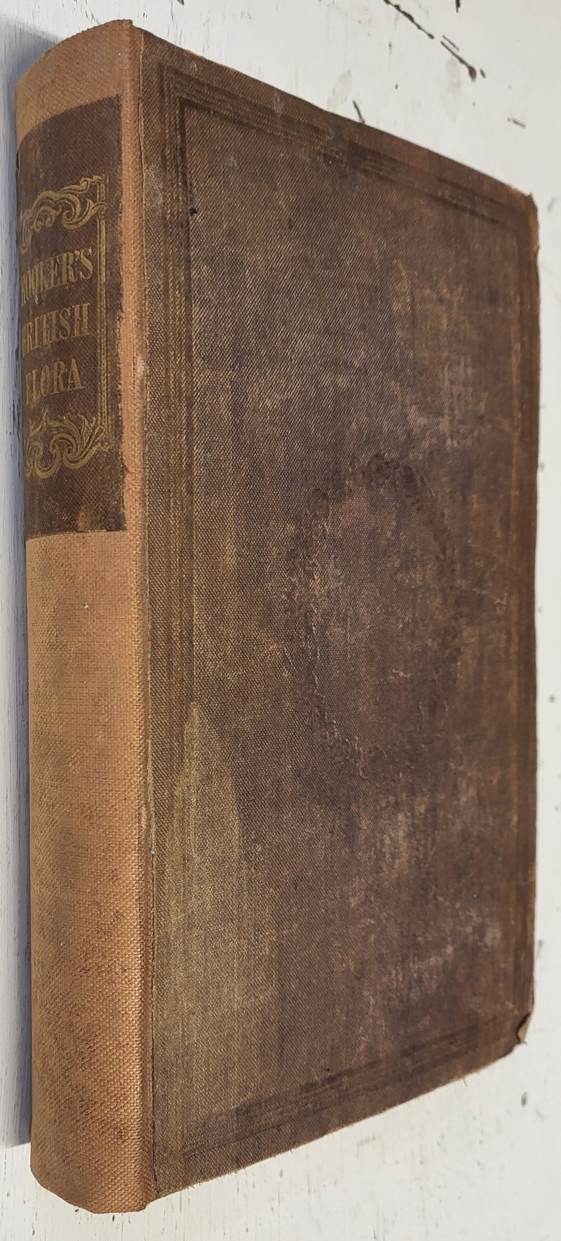 The British Flora in two volumes. Vol. I.; comprising the Phaenogamous, or flowering plants and the ferns