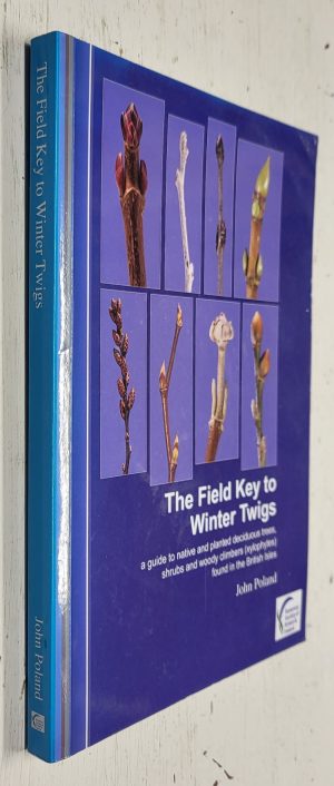 Field Key to Winter Twigs