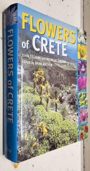 Flowers of Crete