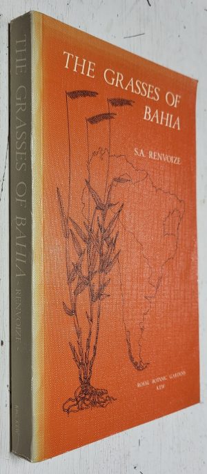 The Grasses of Bahia