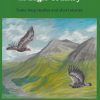 Front cover of In Eagle Country