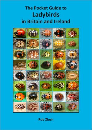 Front cover of The Pocket Guide to Ladybirds