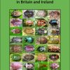 Front cover of The Pocket Guide to Shieldbugs