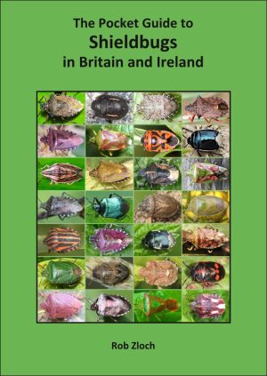 Front cover of The Pocket Guide to Shieldbugs