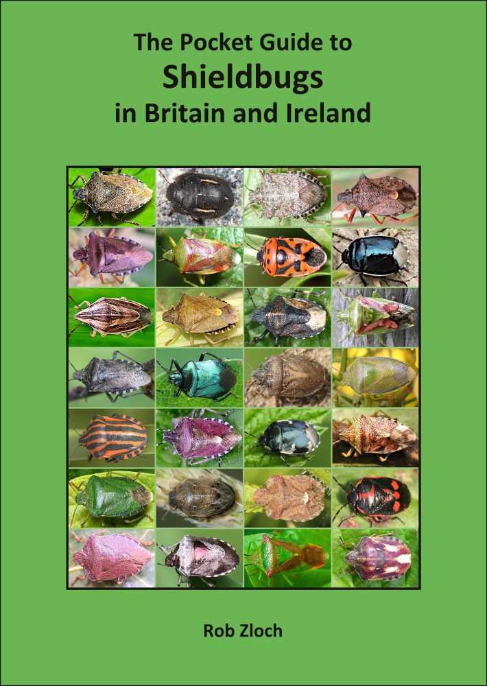 Front cover of The Pocket Guide to Shieldbugs