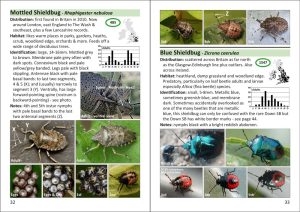 The Pocket Guide to Shieldbugs in Britain and Ireland - Image 5