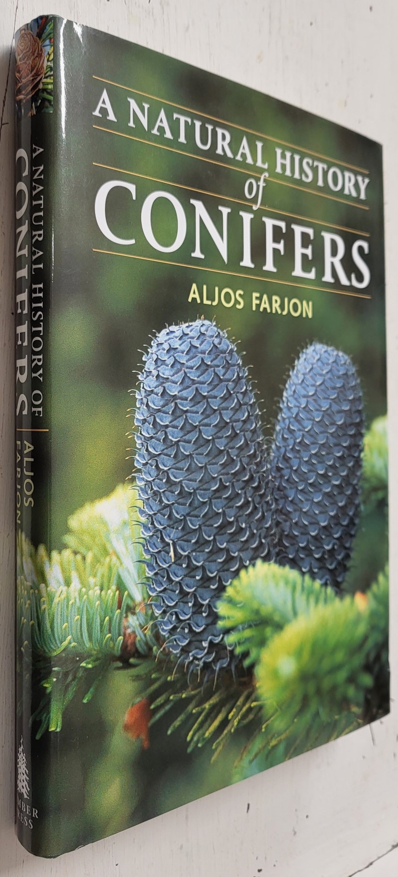 A Natural History of Conifers