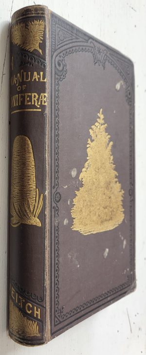 A Manual of The Coniferae