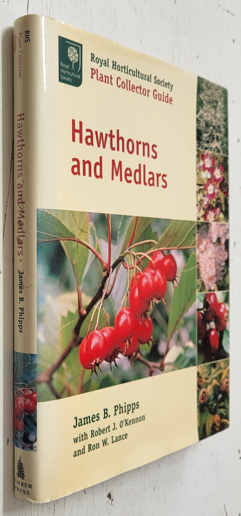 Hawthorns and Medlars