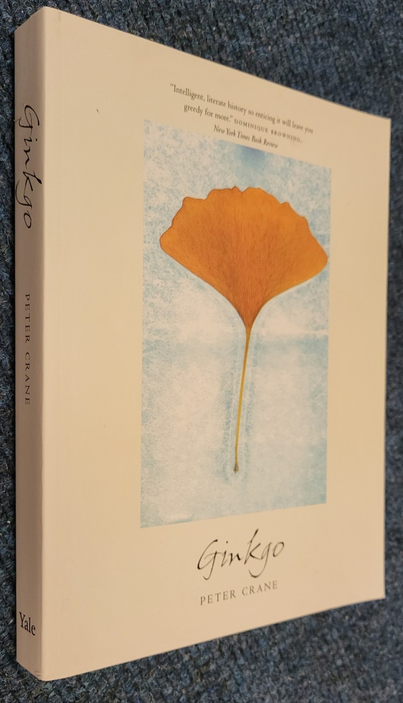 Ginkgo: The tree that time forgot