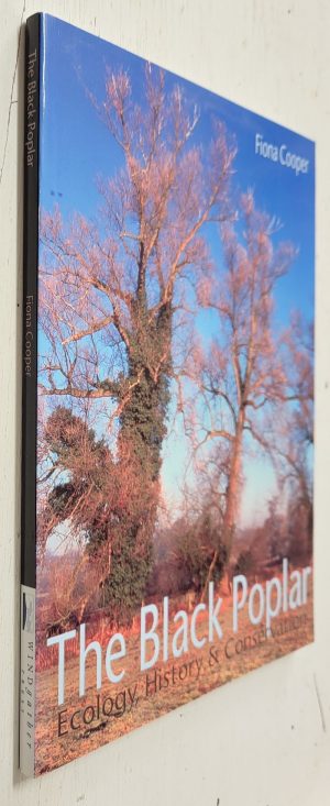 The Black Poplar