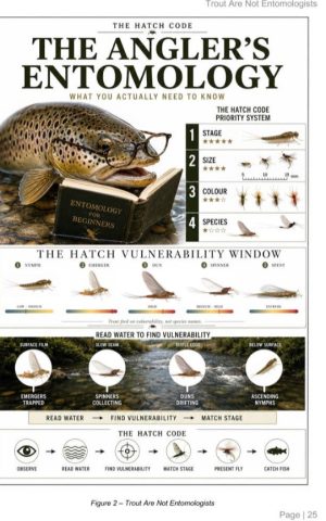 The Hatch Code: Trout Are Not Entomologists - Image 2