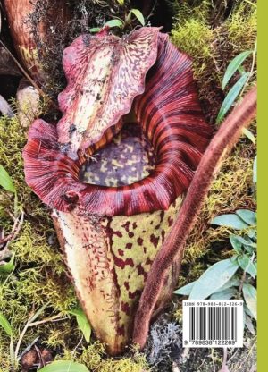 The Nepenthes of Borneo - Image 3